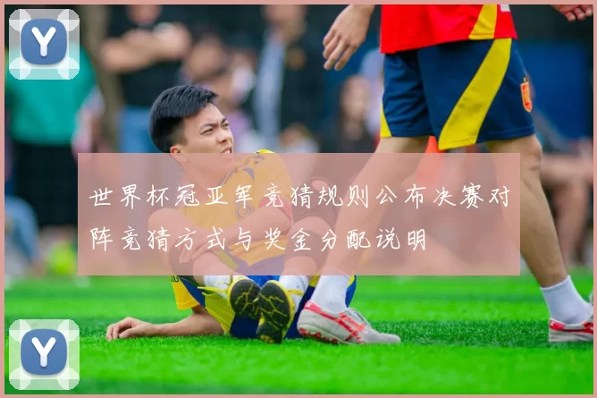 世界杯冠亚军竞猜规则公布决赛对阵竞猜方式与奖金分配说明