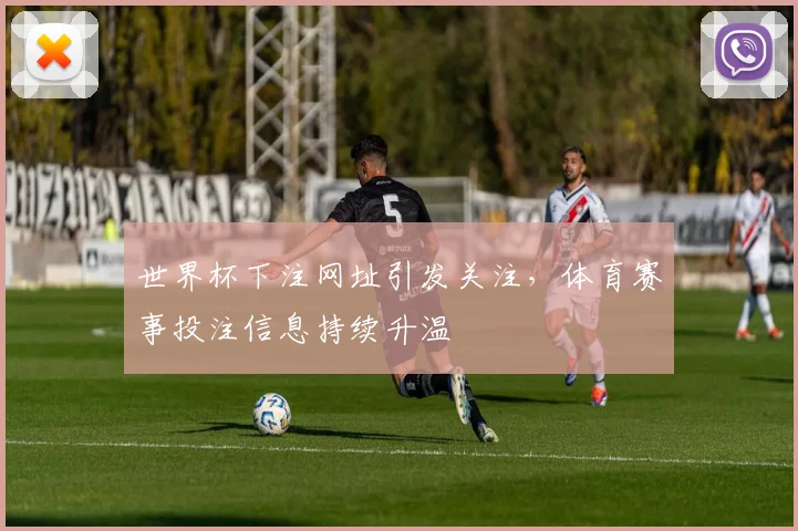 世界杯下注网址引发关注,体育赛事投注信息持续升温