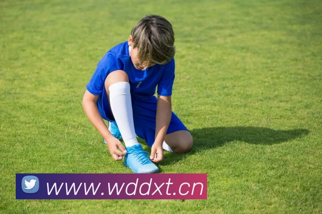 乐鱼官方端网站登录入口 - 乐鱼leyu(中国)服务体系